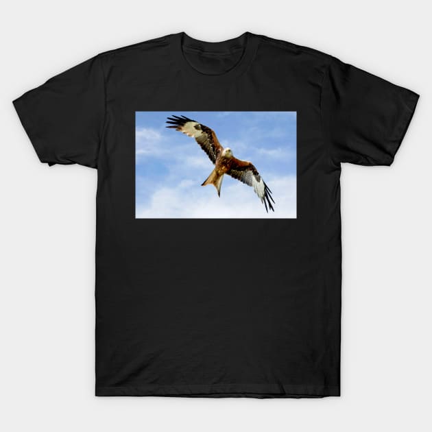 Soaring Red Kite T-Shirt by MartynUK